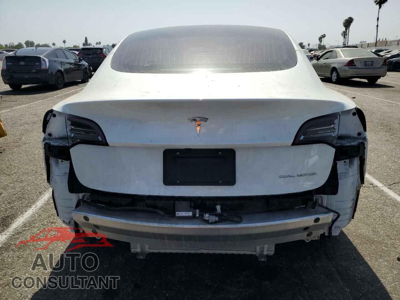 TESLA MODEL 3 2019 - 5YJ3E1EB2KF498527