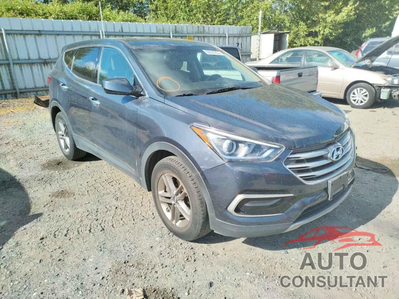 HYUNDAI SANTA FE 2017 - 5NMZTDLB7HH002309