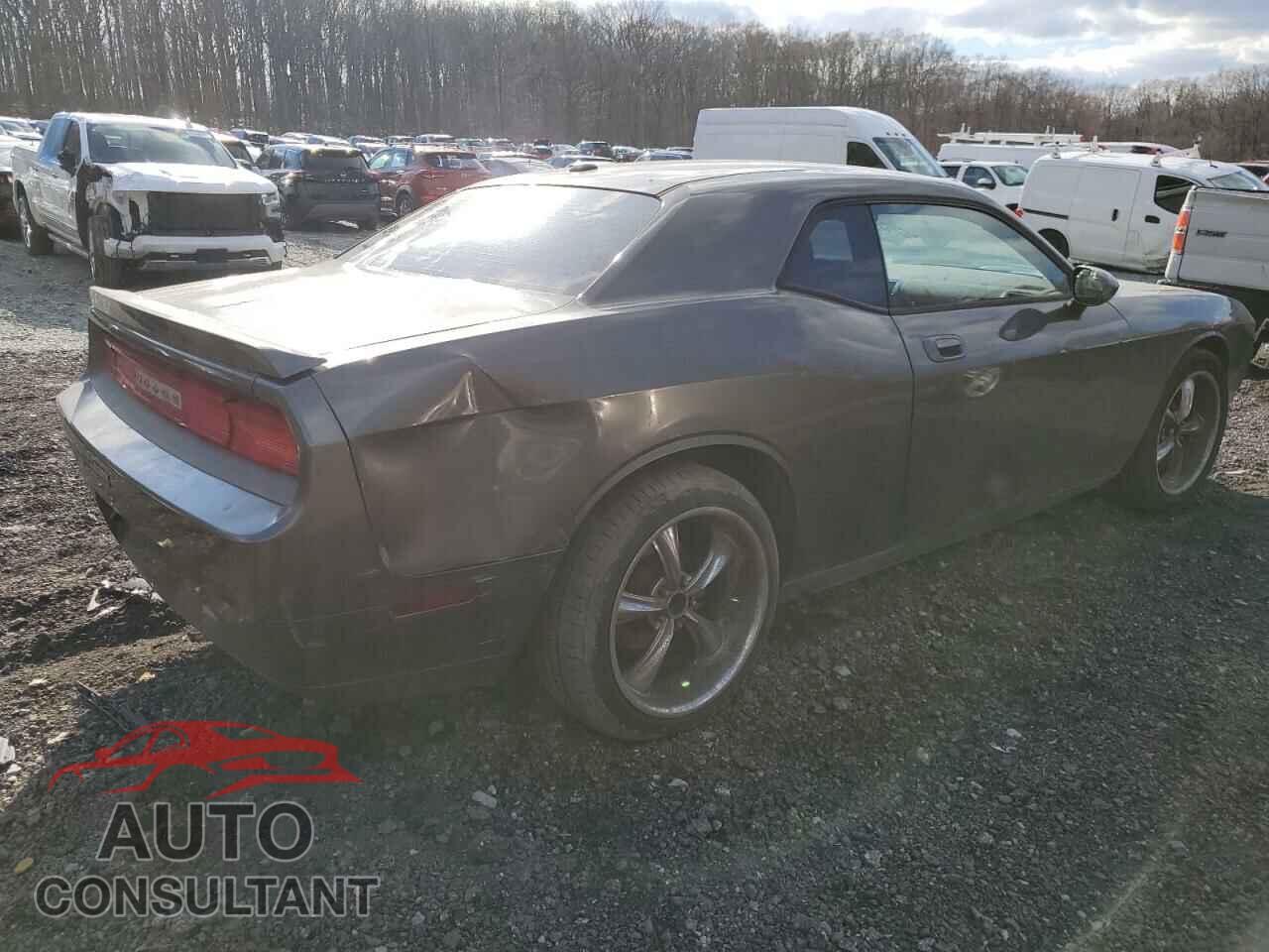 DODGE CHALLENGER 2010 - 2B3CJ4DV2AH189918