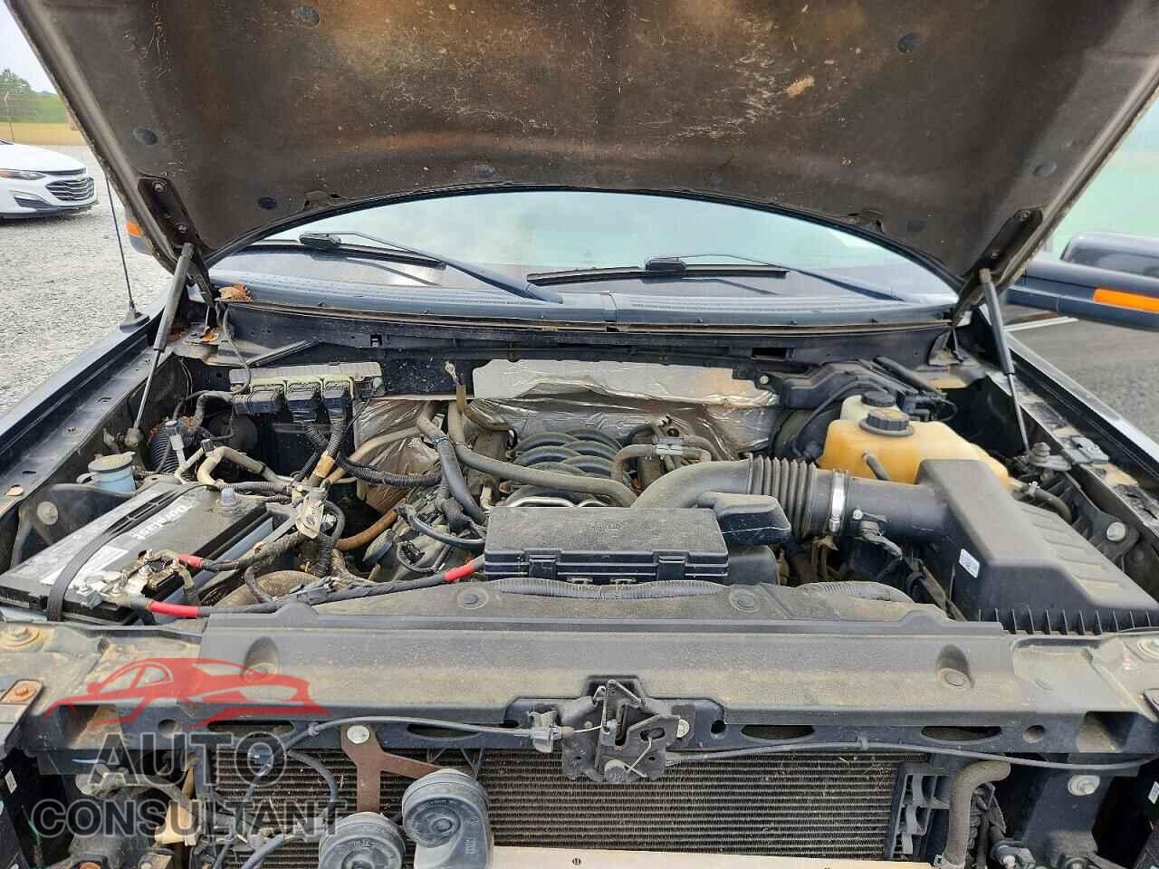 FORD F150 2013 - 1FTFW1EF1DFD62532