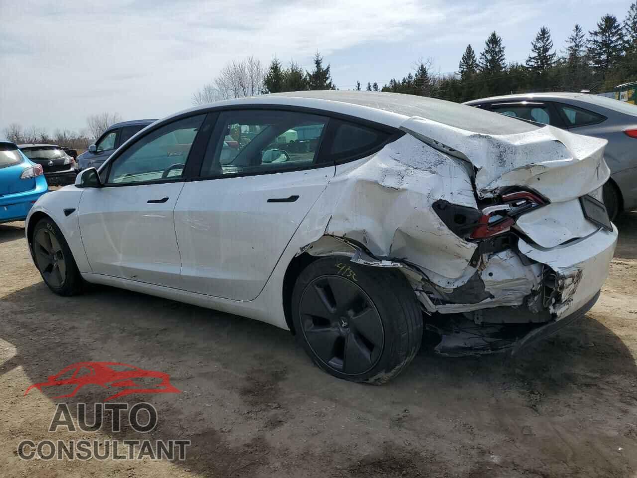 TESLA MODEL 3 2022 - 5YJ3E1EA2NF156426