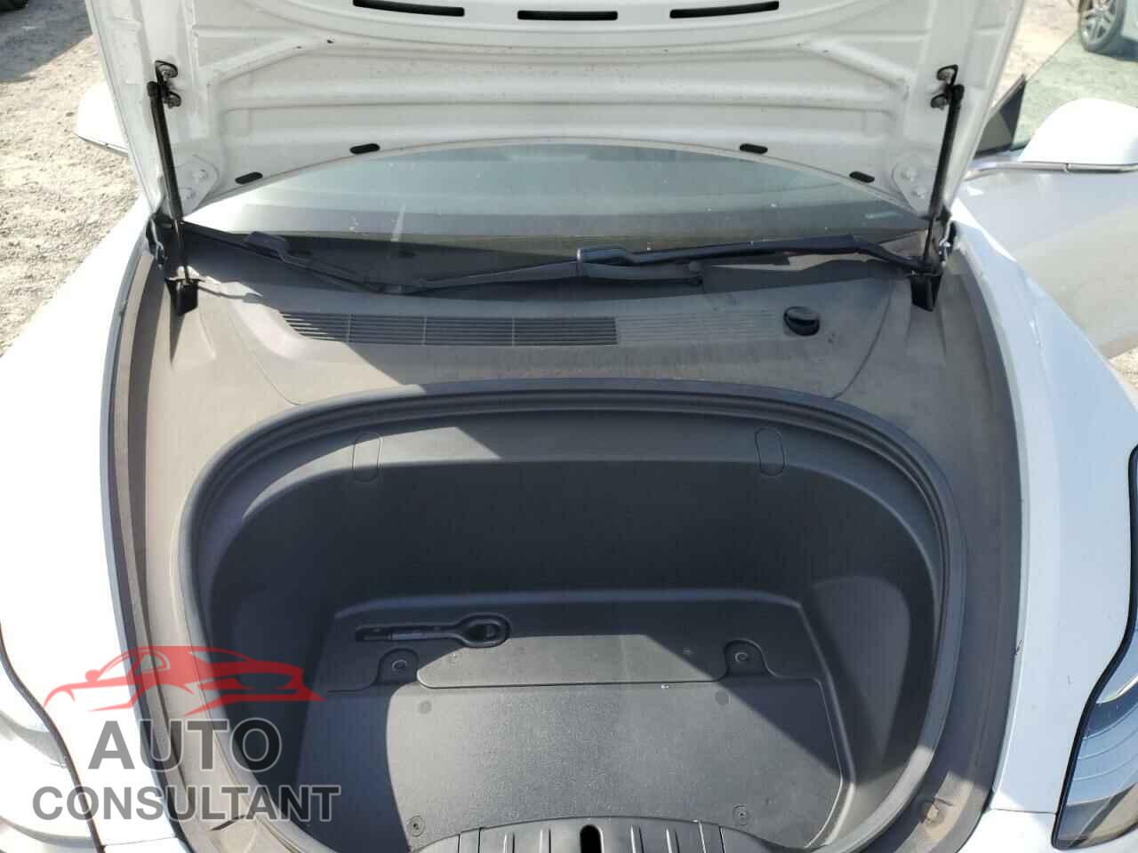 TESLA MODEL 3 2019 - 5YJ3E1EA8KF434550