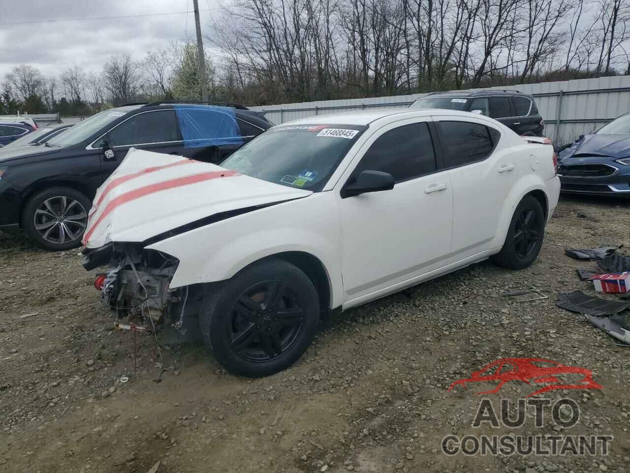 DODGE AVENGER 2009 - 1B3LC56B59N500294