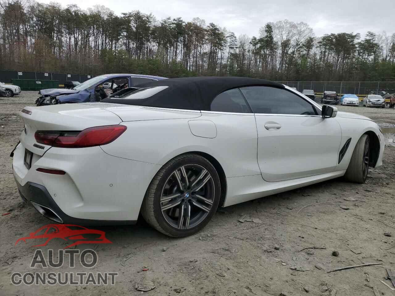 BMW 8 SERIES 2019 - WBAFY4C57KBX29392