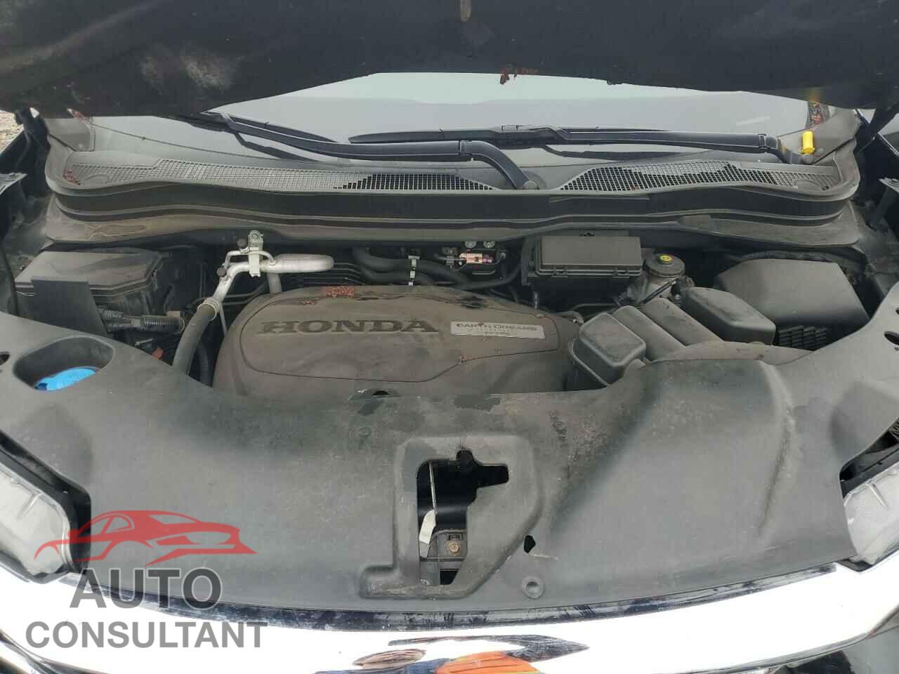 HONDA PILOT 2019 - 5FNYF6H52KB041335