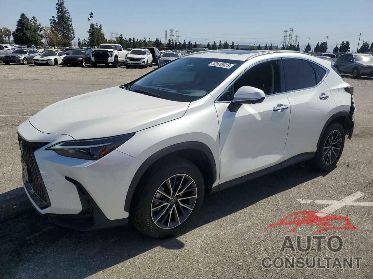 LEXUS NX 350H BA 2025 - JTJGKCEZ9S2052281
