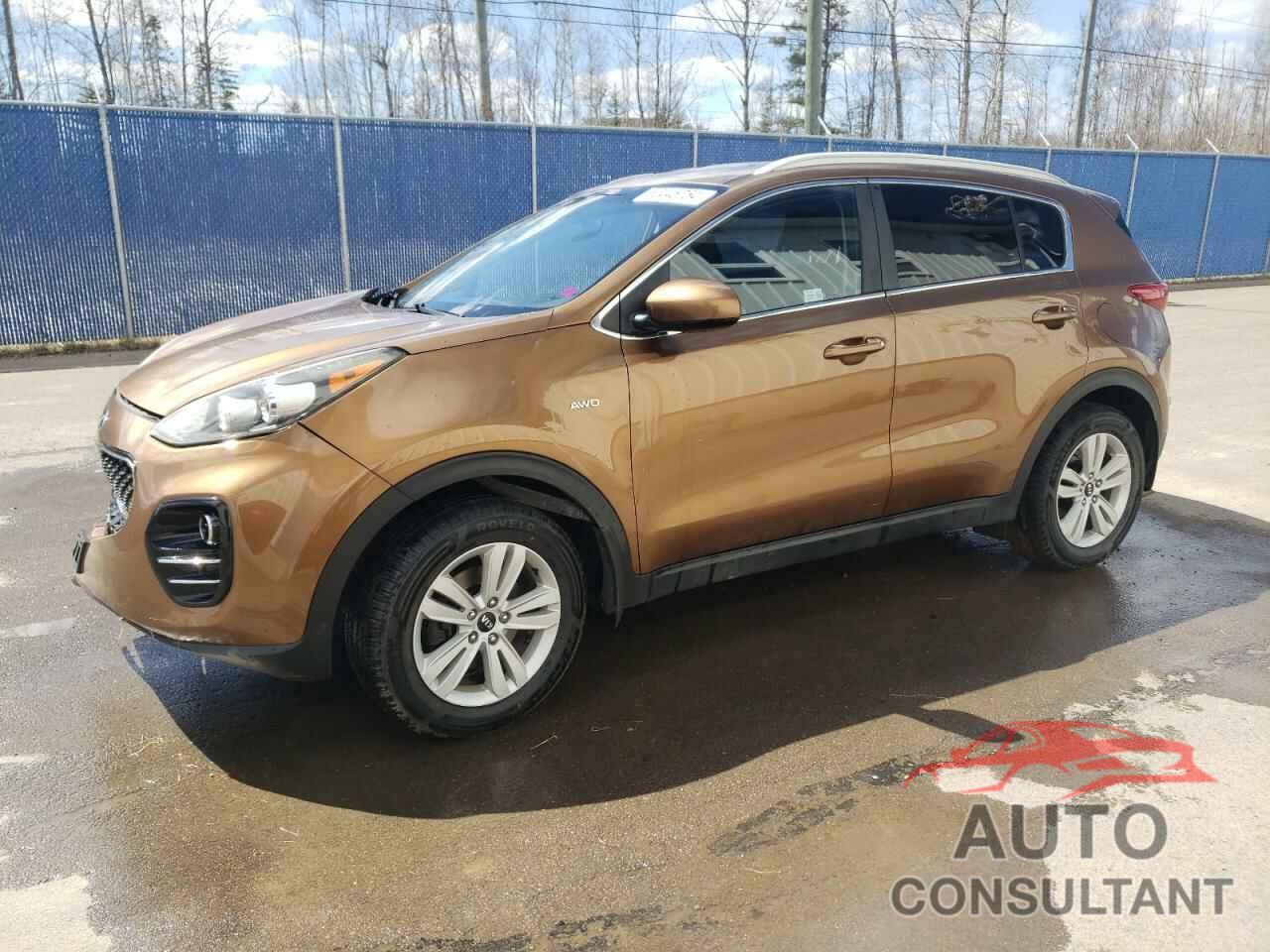 KIA SPORTAGE 2017 - KNDPMCAC4H7055583