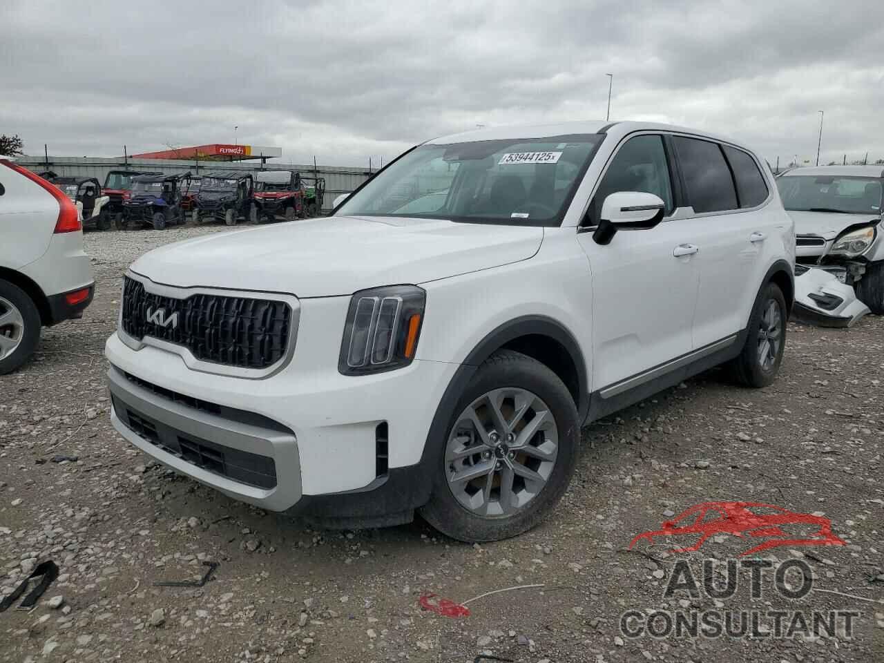 KIA TELLURIDE 2024 - 5XYP24GC3RG409181