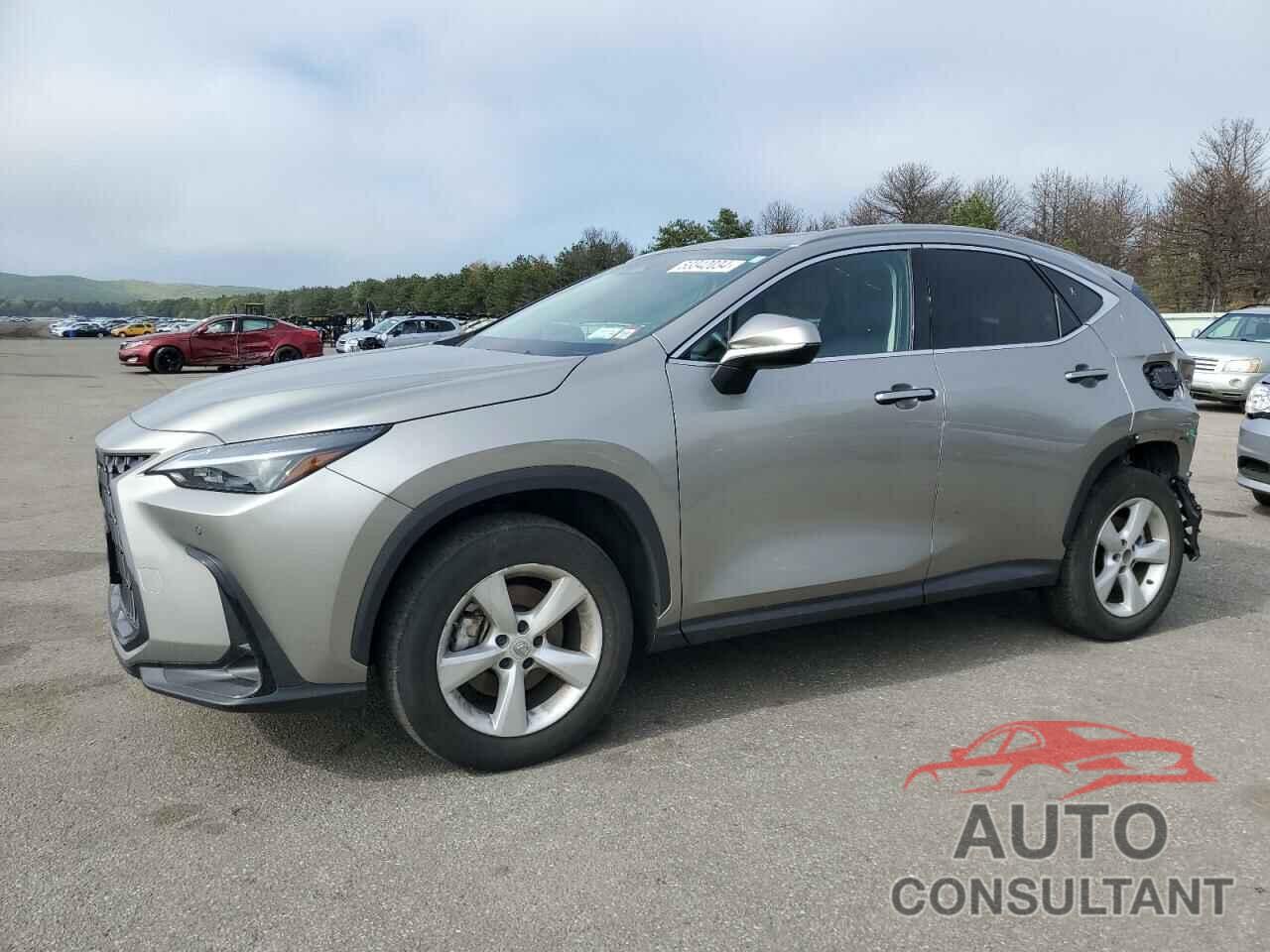 LEXUS NX 350 PRE 2024 - 2T2GGCEZ7RC044336