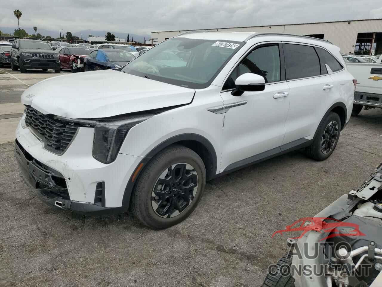 KIA SORENTO 2024 - 5XYRLDJC0RG261215