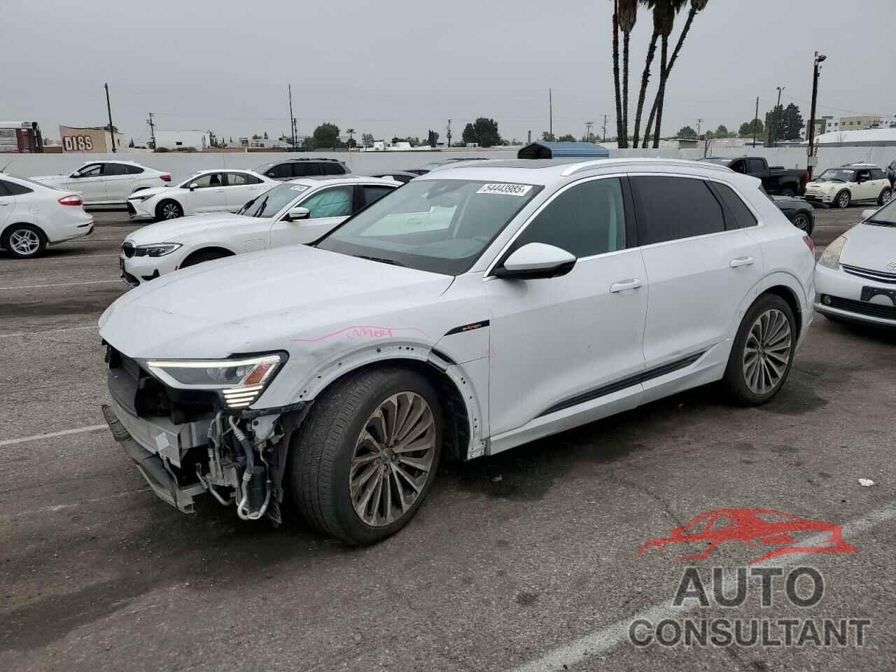 AUDI E-TRON 2019 - WA1VABGE1KB021716