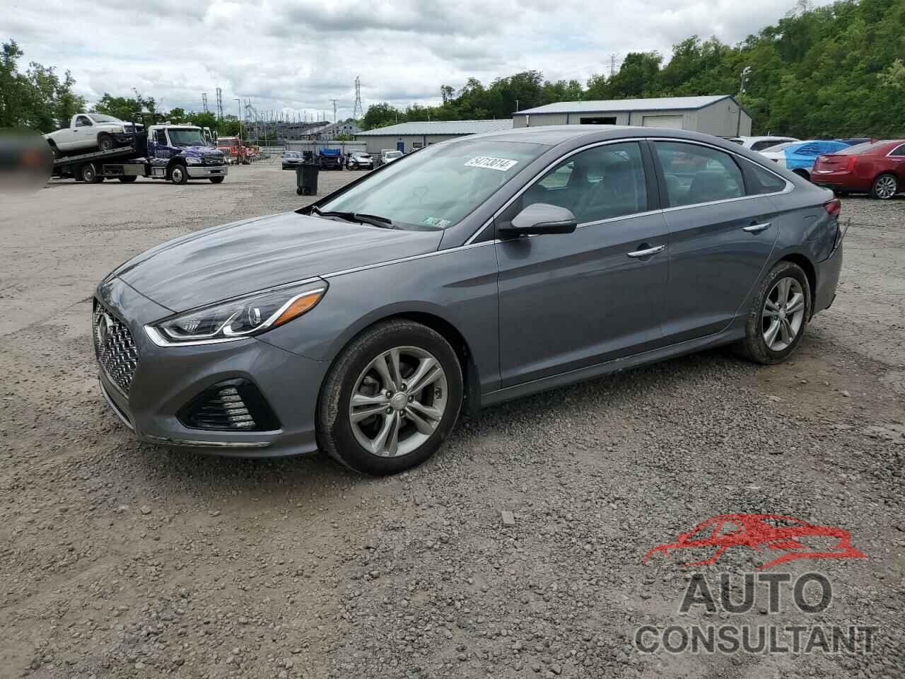 HYUNDAI SONATA 2019 - 5NPE34AF5KH804632