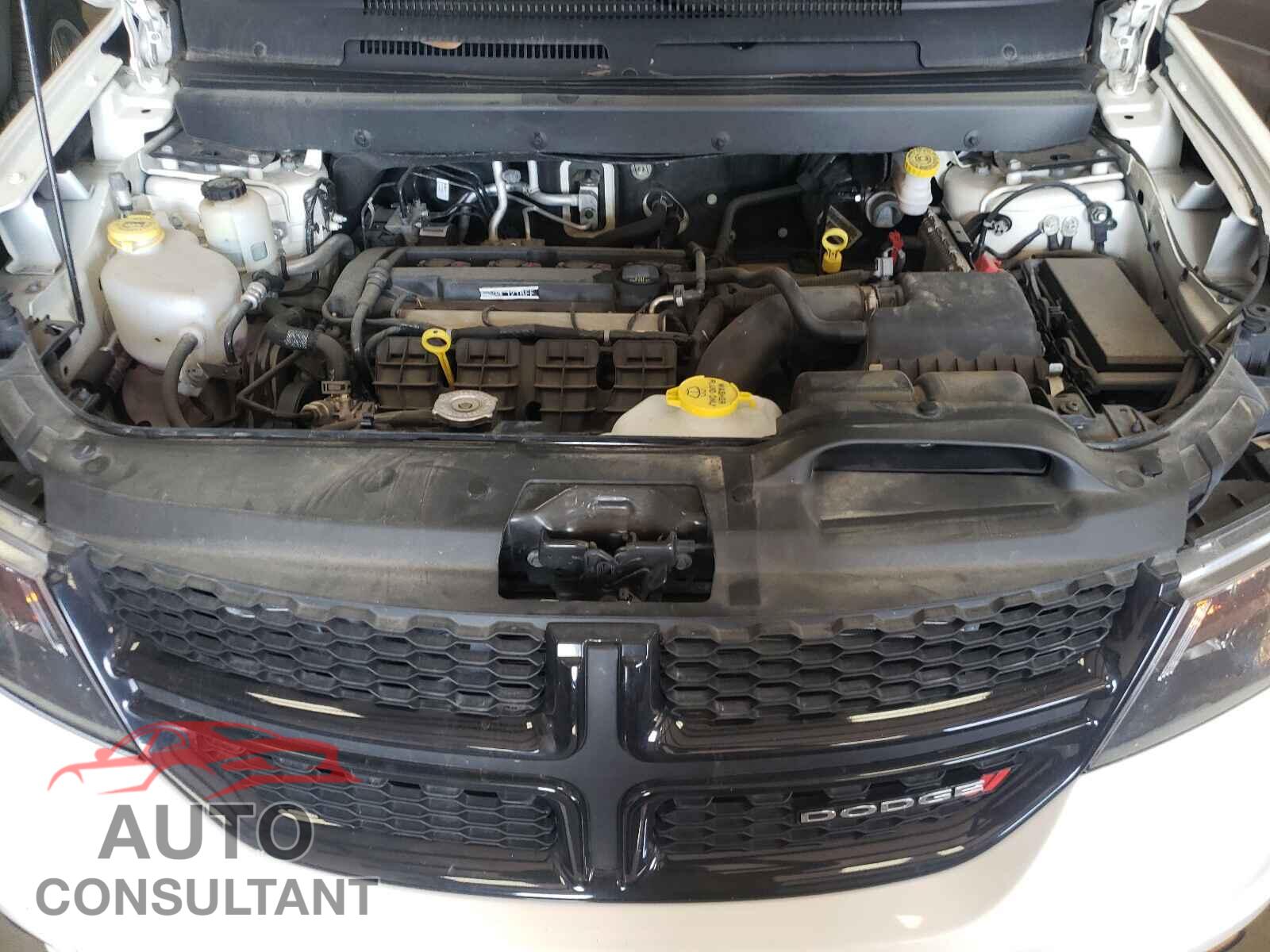 DODGE JOURNEY 2019 - 3C4PDCBB5KT858332