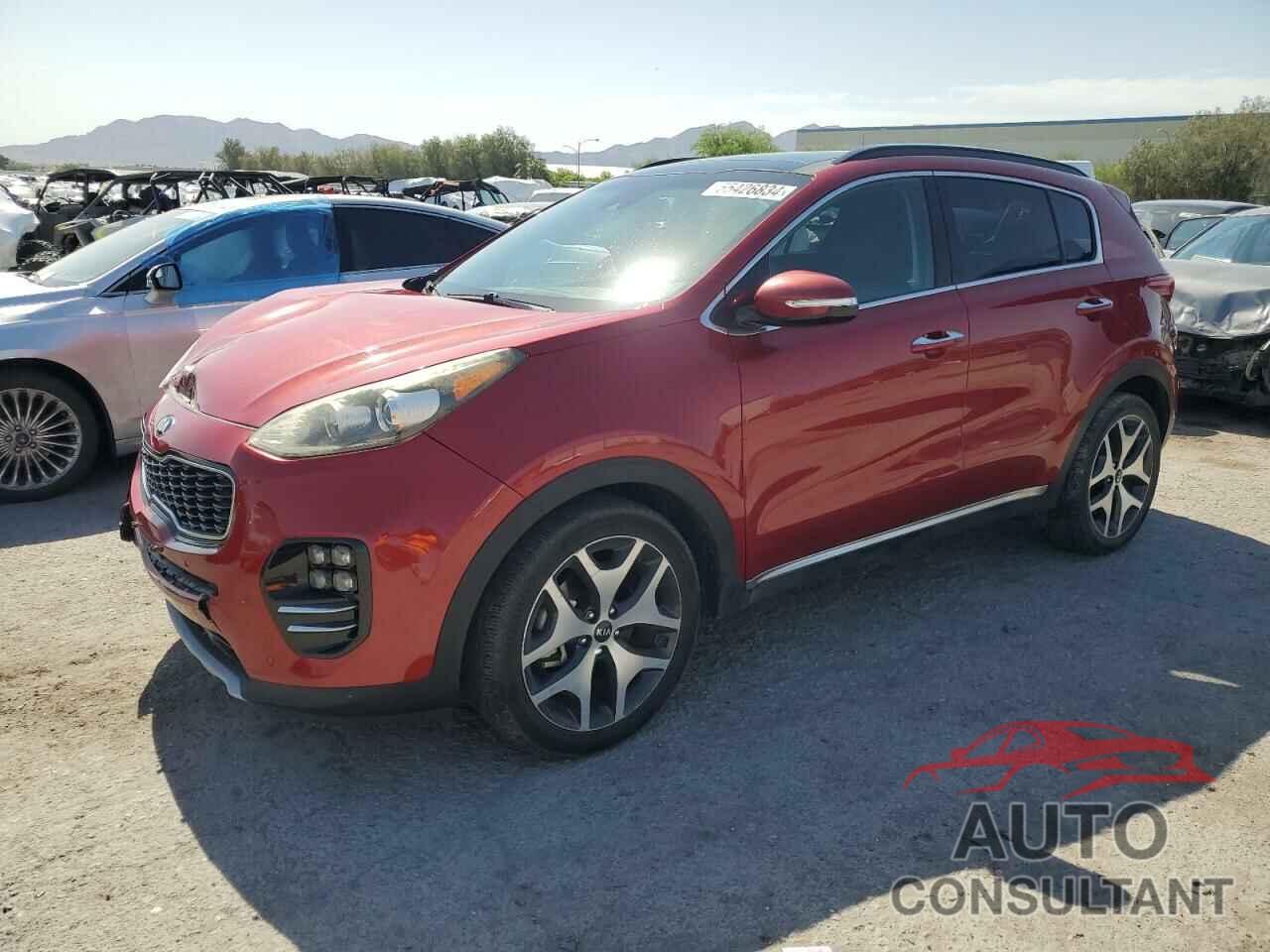 KIA SPORTAGE 2019 - KNDPR3A66K7554355