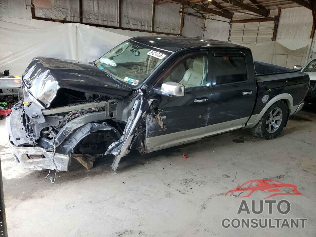DODGE All Models 2009 - 1D3HV13T49J511869