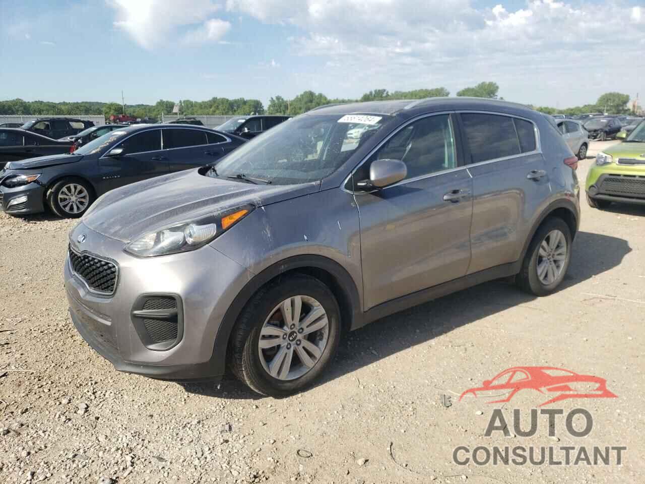 KIA SPORTAGE 2017 - KNDPM3AC8H7079515