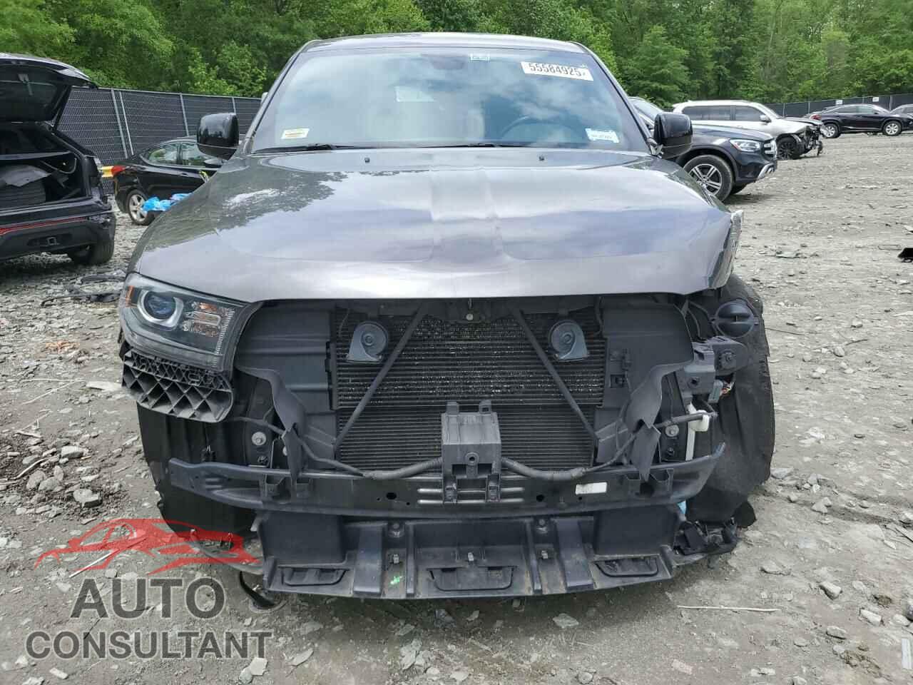 DODGE DURANGO 2019 - 1C4RDJDG7KC755477