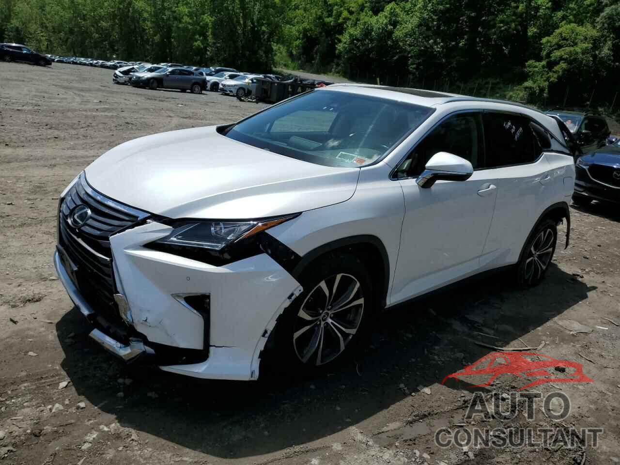 LEXUS RX350 2019 - JTJDZKCA5K2017856