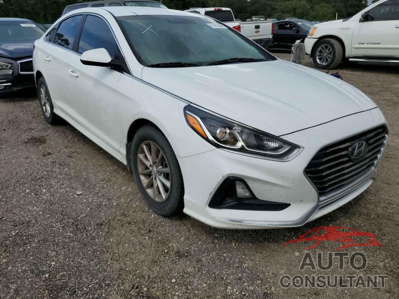 HYUNDAI SONATA 2019 - 5NPE24AF9KH772366