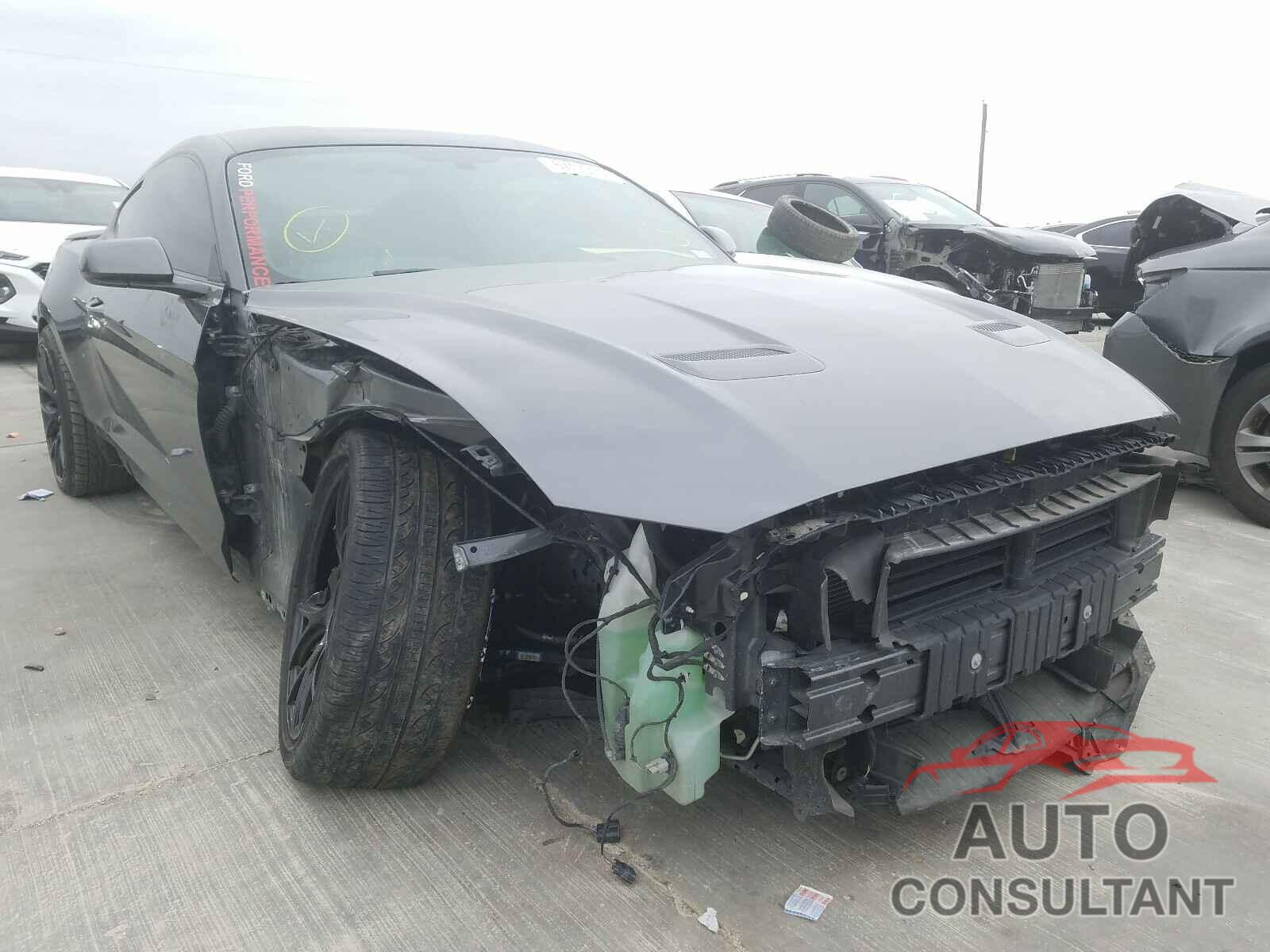 FORD MUSTANG 2019 - 1FA6P8CF1K5151008