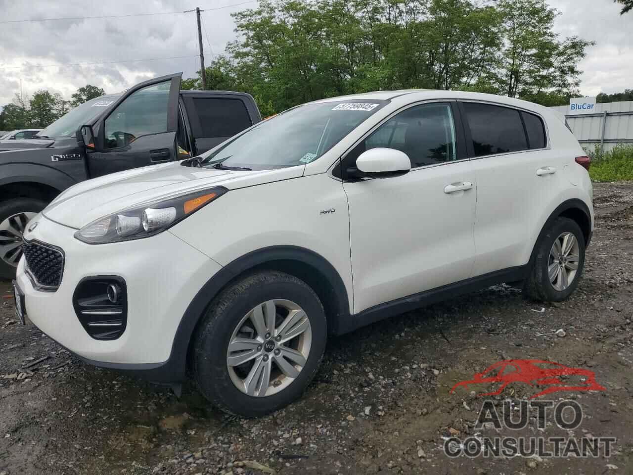 KIA SPORTAGE 2019 - KNDPMCAC1K7502619