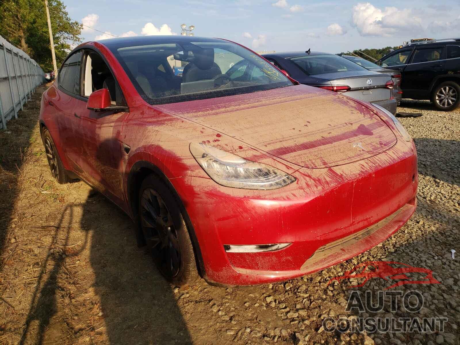TESLA MODEL Y 2021 - 5YJYGDEE6MF072175