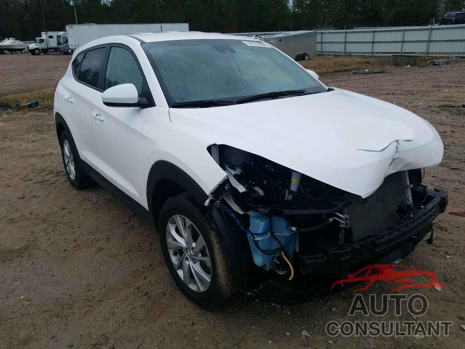HYUNDAI TUCSON 2019 - KM8J23A49KU894184