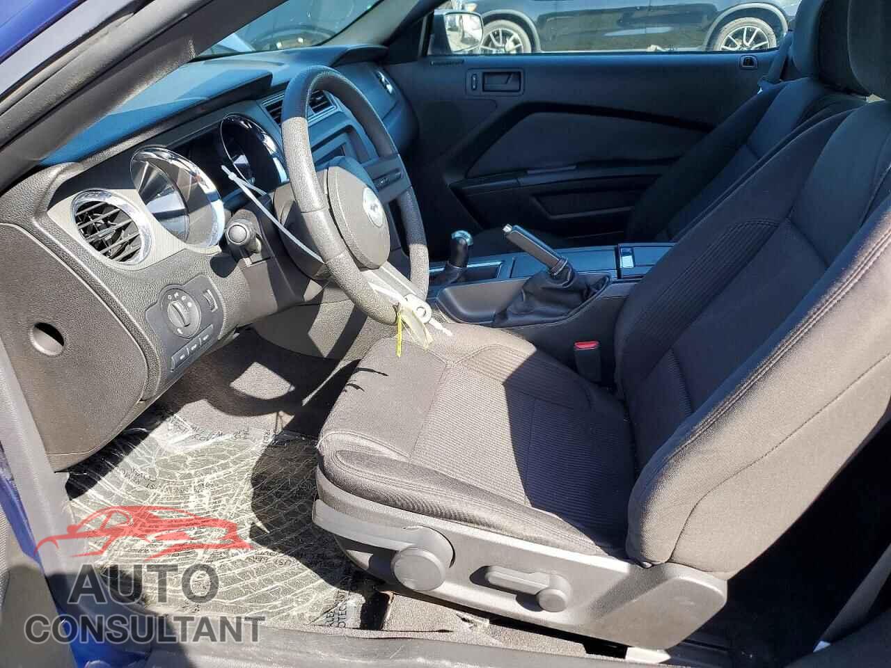 FORD MUSTANG 2011 - 1ZVBP8CF2B5169572