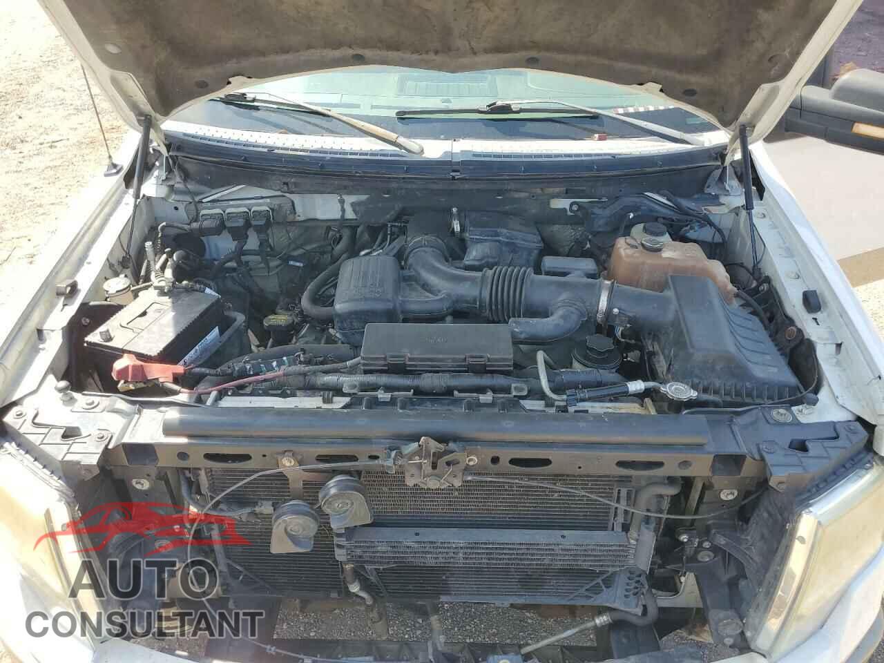 FORD F-150 2010 - 1FTFW1EVXAKE41367