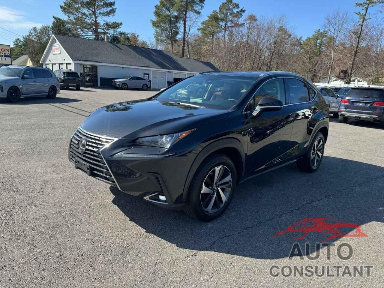 LEXUS NX 2019 - JTJYARBZ7K2119474