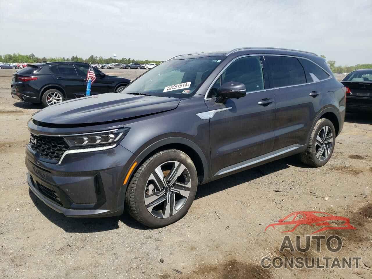 KIA SORENTO 2022 - KNDRMDLH1N5067897