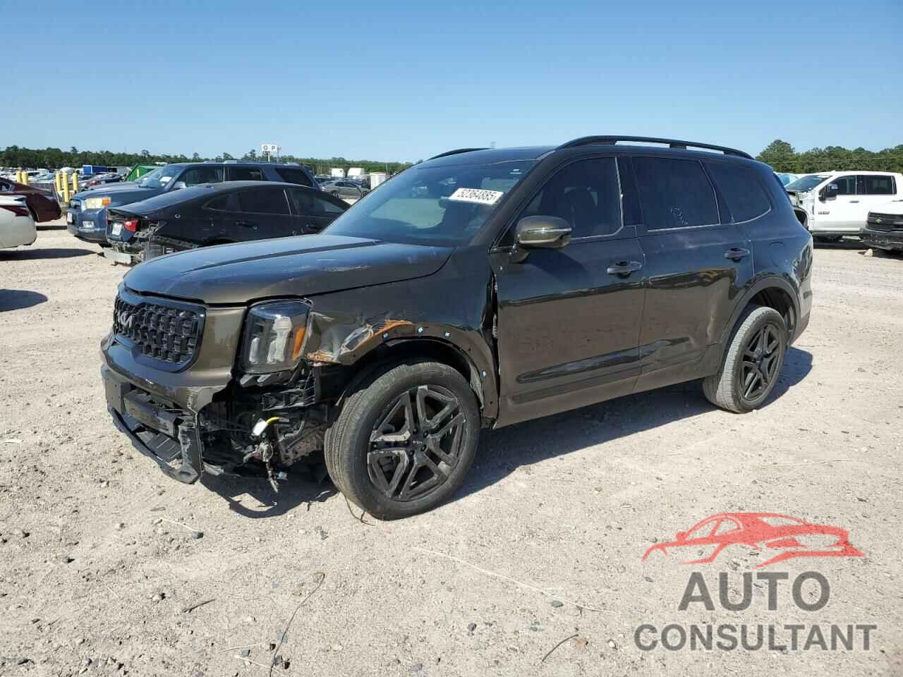 KIA TELLURIDE 2024 - 5XYP5DGC9RG460546