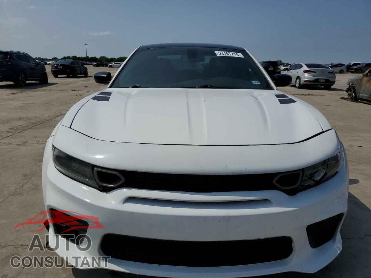 DODGE CHARGER 2017 - 2C3CDXCT1HH511180