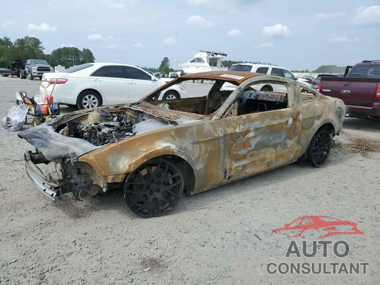 FORD MUSTANG 2011 - 1ZVBP8CF8B5124765