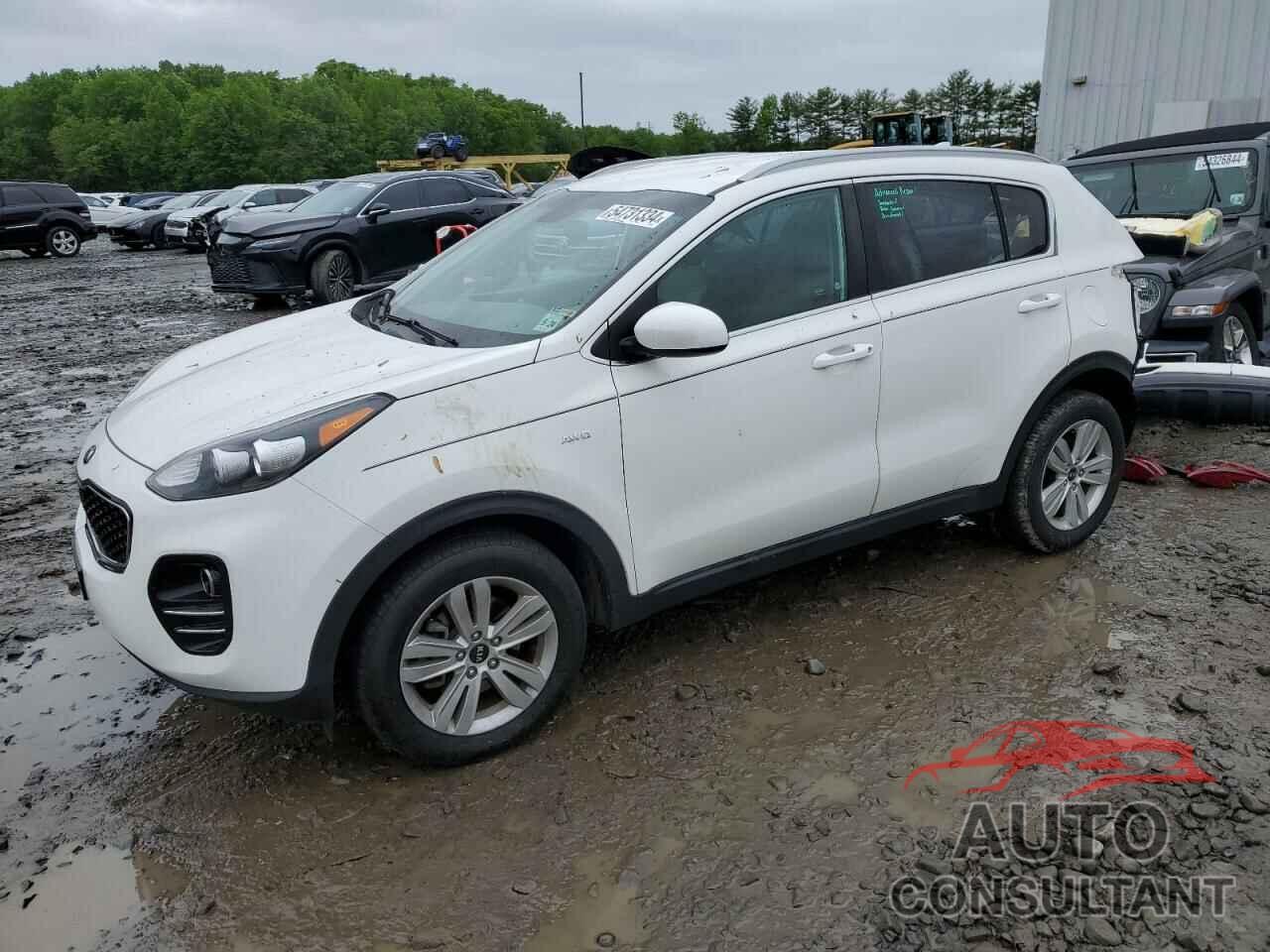 KIA SPORTAGE 2019 - KNDPMCAC6K7607057