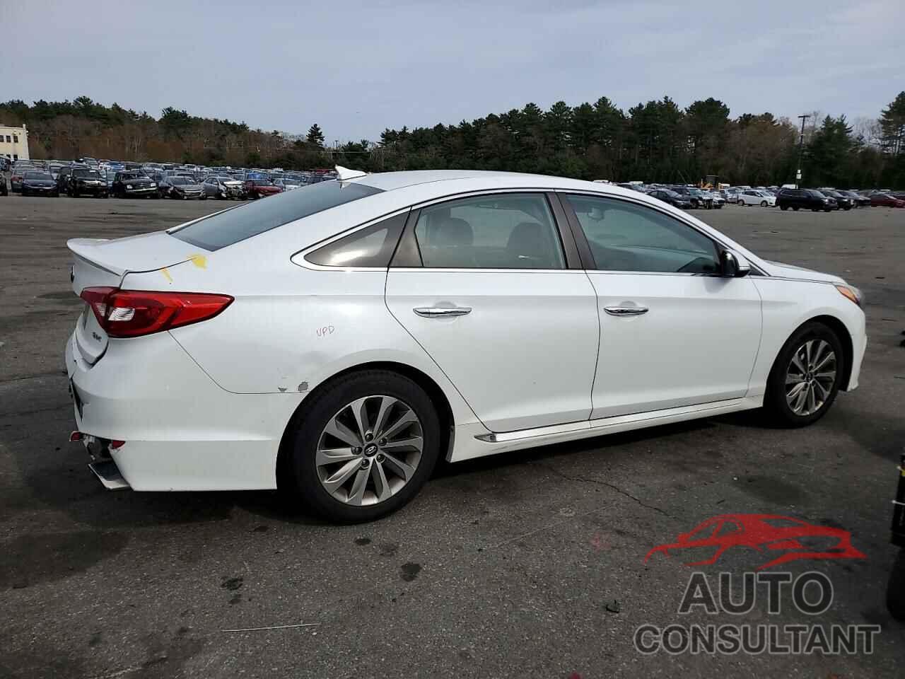 HYUNDAI SONATA 2016 - 5NPE34AF1GH262226