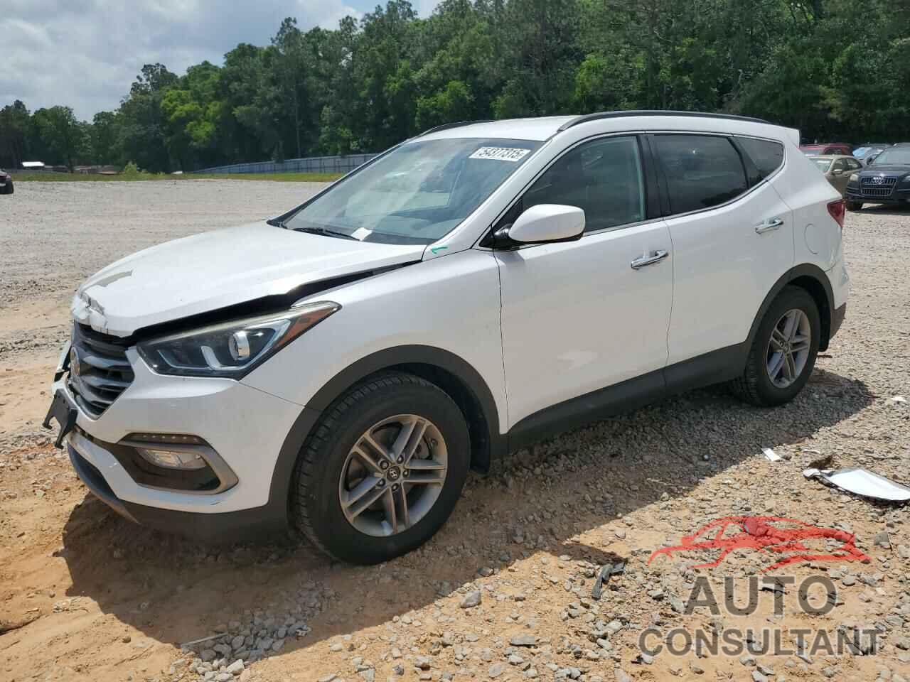 HYUNDAI SANTA FE 2017 - 5NMZU3LB0HH021985