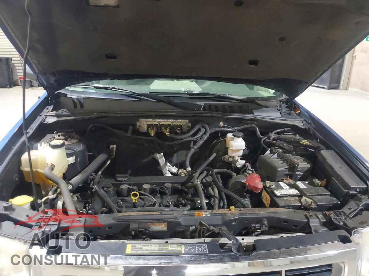 FORD ESCAPE 2010 - 1FMCU0D76AKB18435