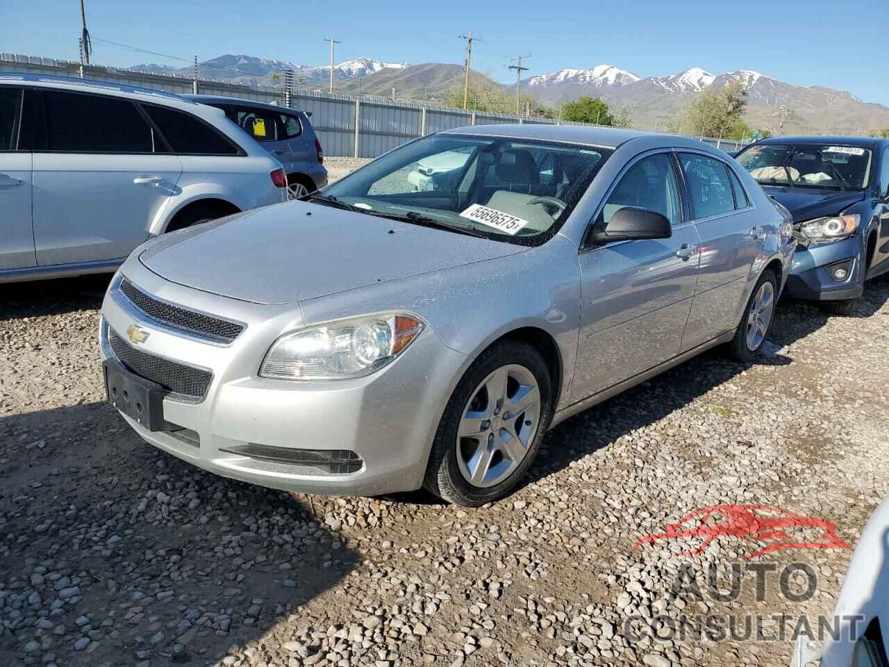 CHEVROLET MALIBU 2010 - 1G1ZA5EBXAF309946