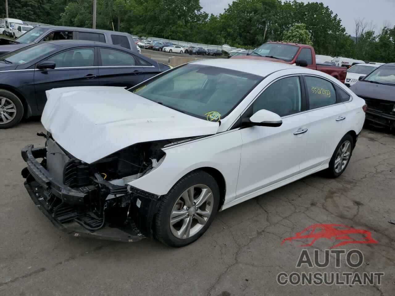 HYUNDAI SONATA 2018 - 5NPE34AF2JH714899