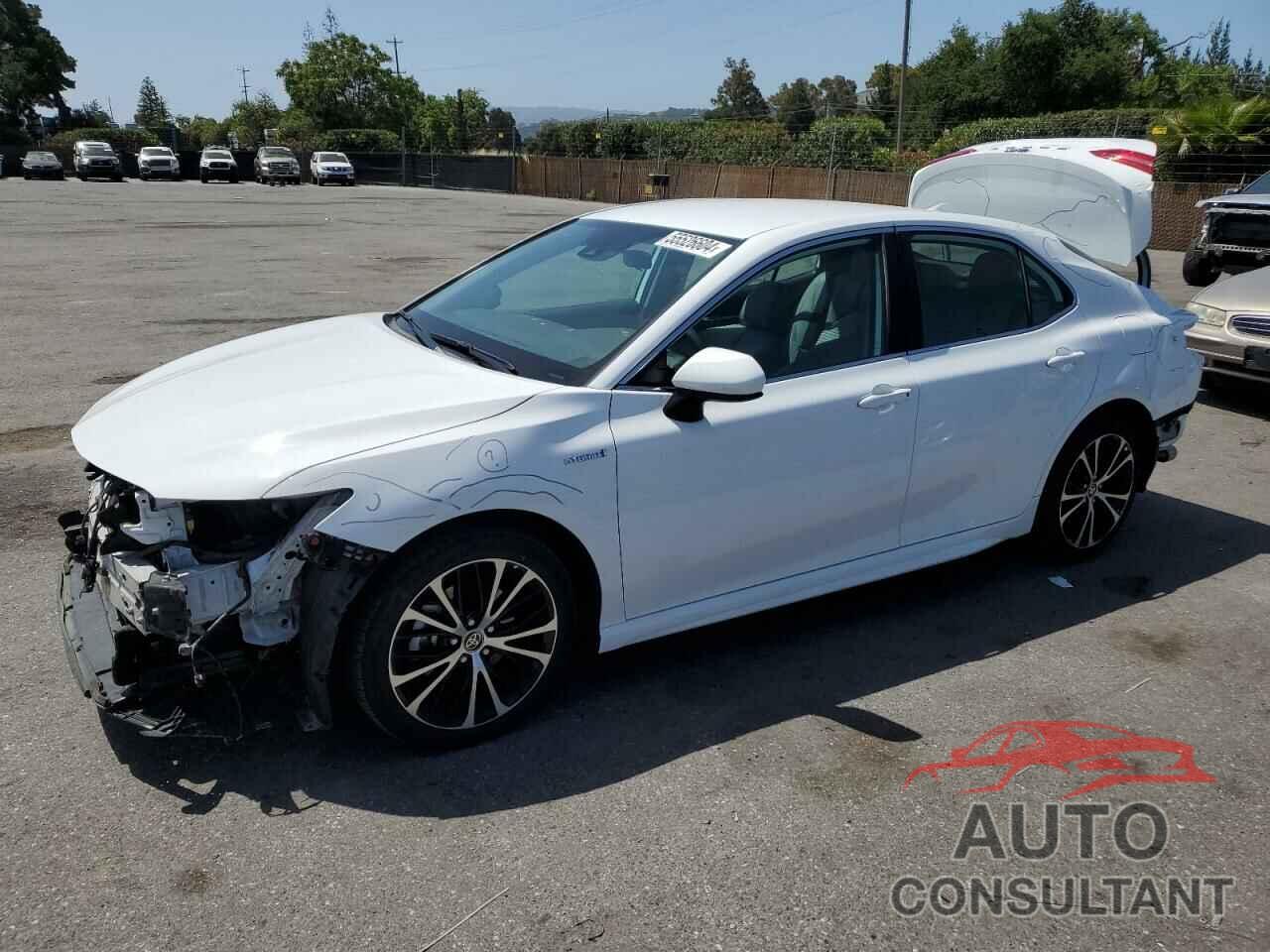 TOYOTA CAMRY 2020 - 4T1G31AK9LU536790