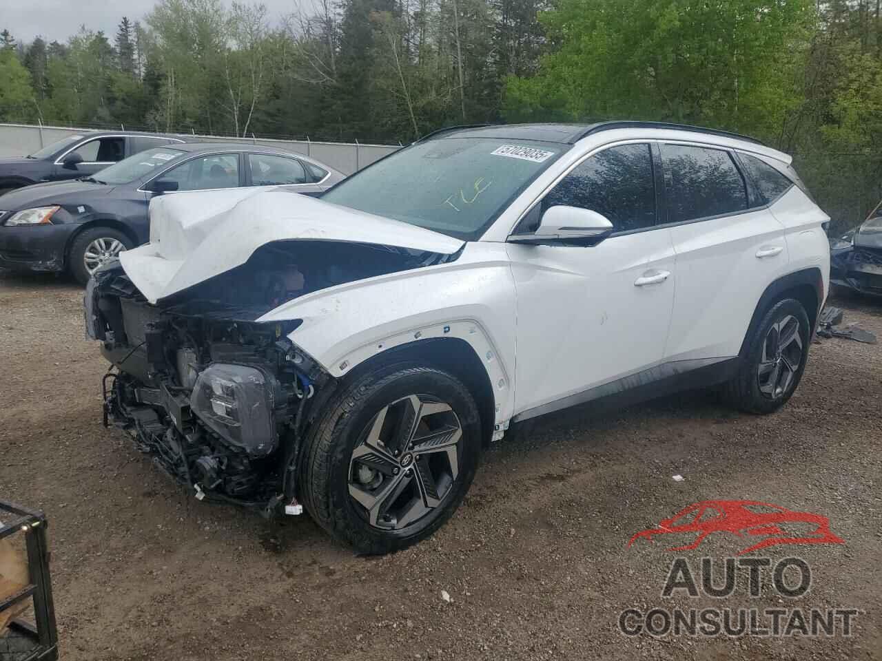 HYUNDAI TUCSON 2023 - KM8JCCA17PU105413