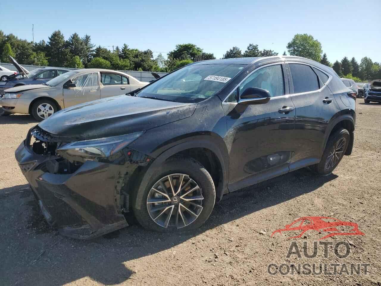 LEXUS NX 350H BA 2024 - 2T2GKCEZ6RC026831