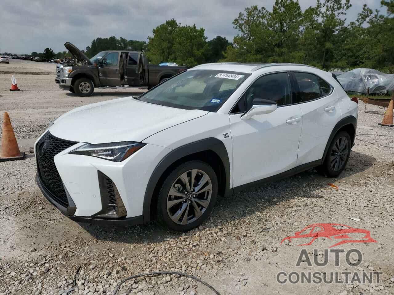 LEXUS UX 200 2019 - JTHY3JBH3K2014158