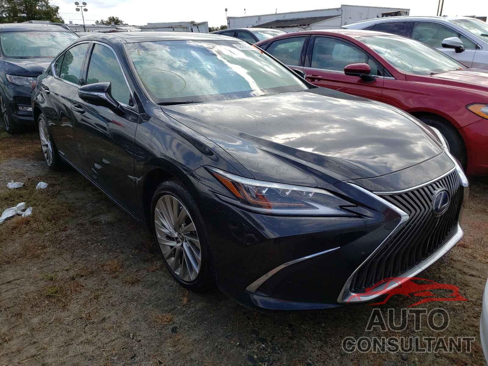 LEXUS ES300 2019 - 58AB21B11KU002662