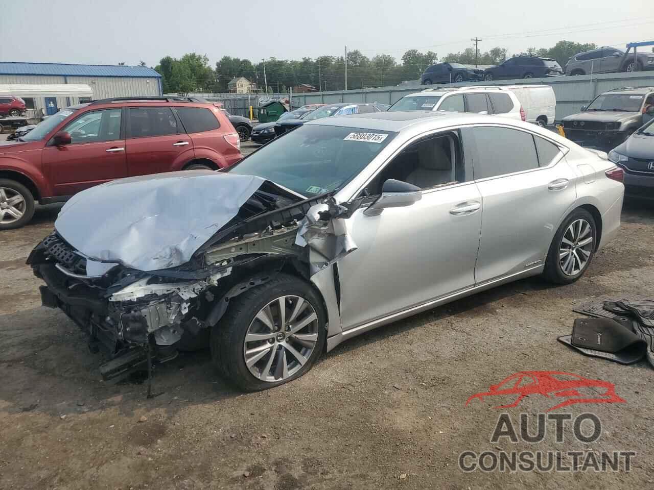 LEXUS ES300 2021 - 58ADA1C17MU003473