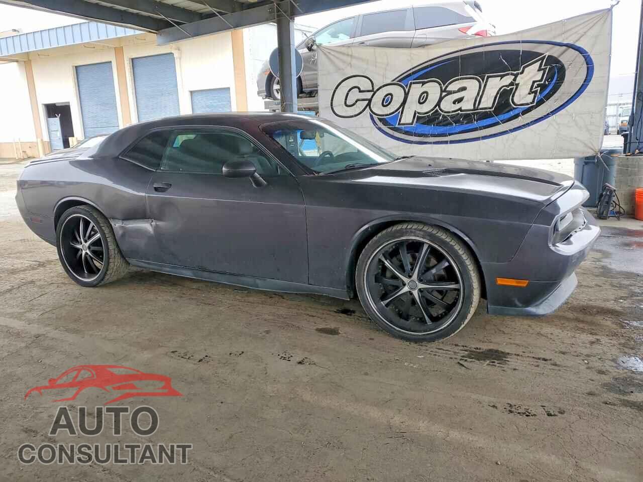 DODGE CHALLENGER 2013 - 2C3CDYAG8DH651751