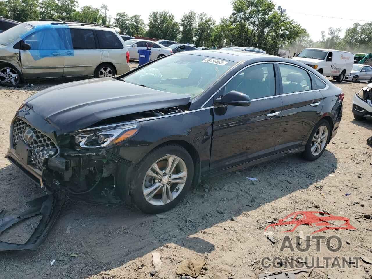 HYUNDAI SONATA 2019 - 5NPE34AF9KH752065
