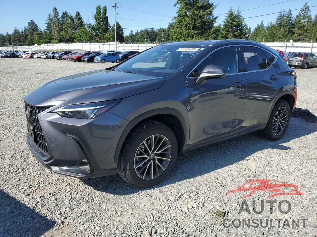 LEXUS NX 350 BAS 2024 - JTJAGCEZ7R2015151