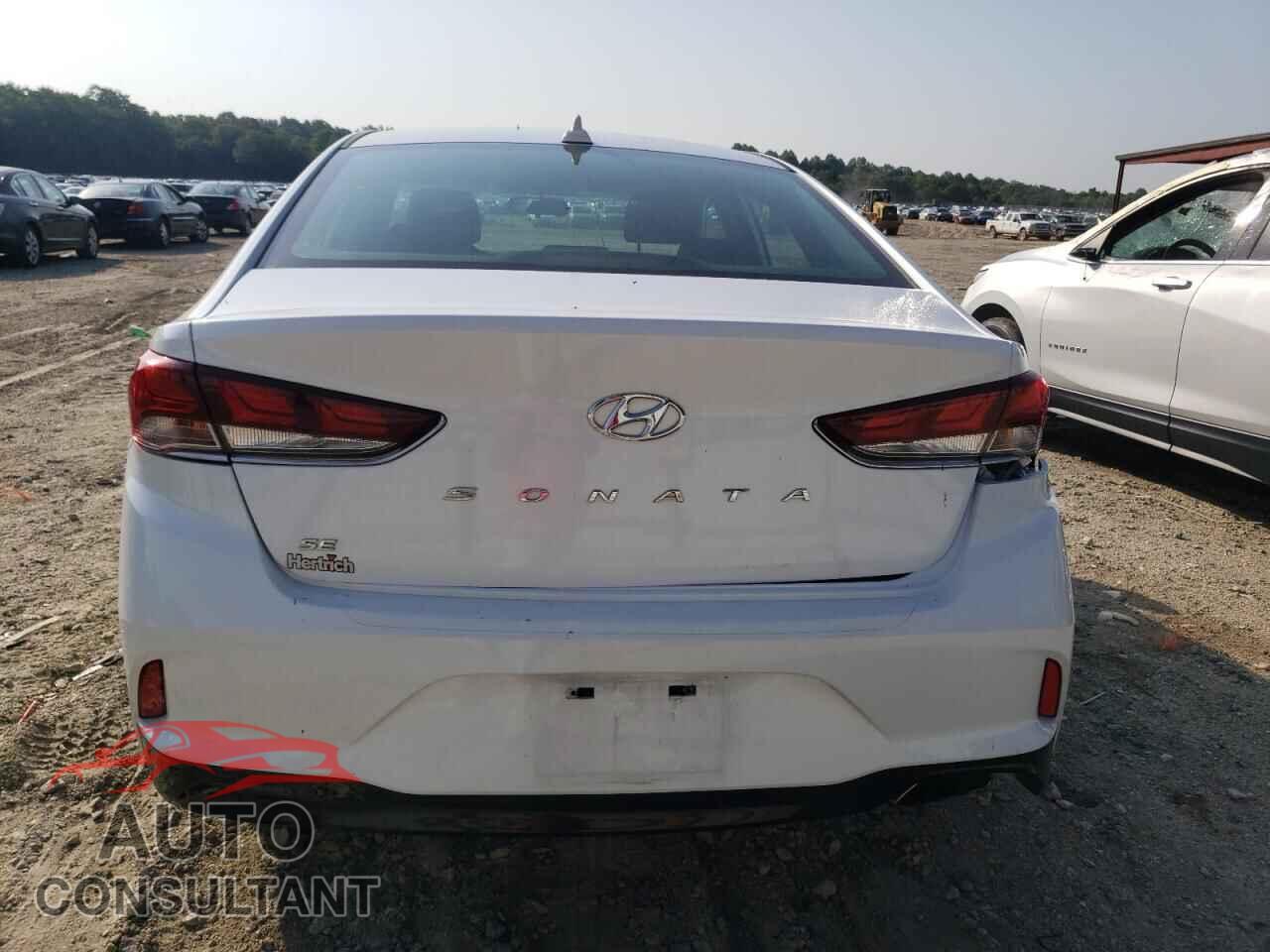 HYUNDAI SONATA 2019 - 5NPE24AF1KH786228